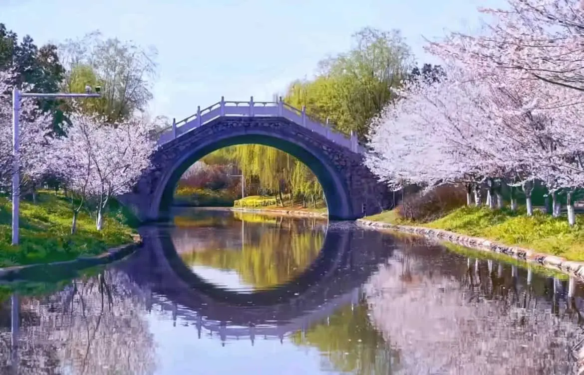 China Pharmaceutical University 13