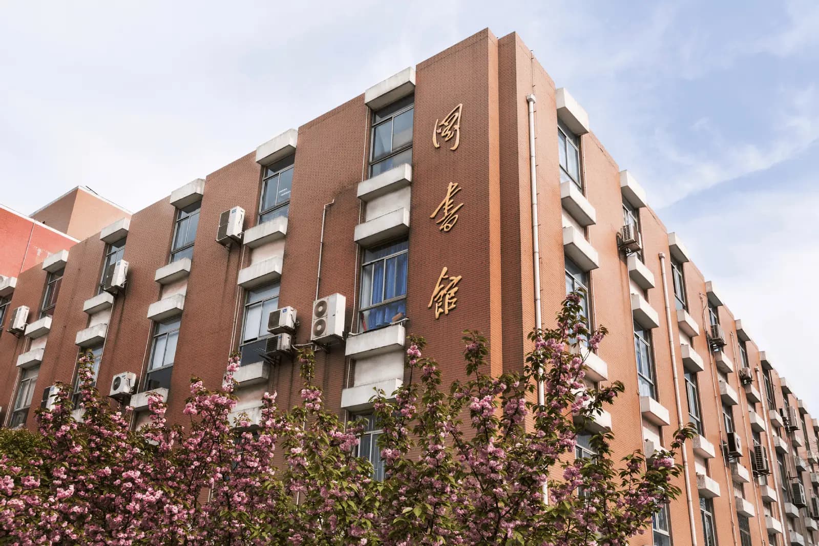 เรียนภาษาจีนที่ฟูตั้น photo 1