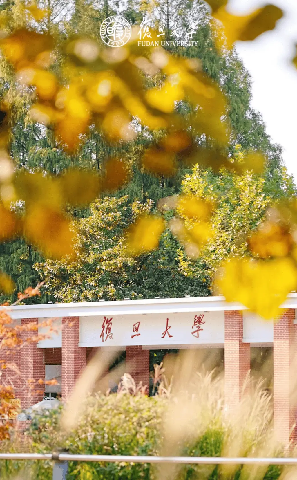 เรียนภาษาจีนที่ฟูตั้น 11