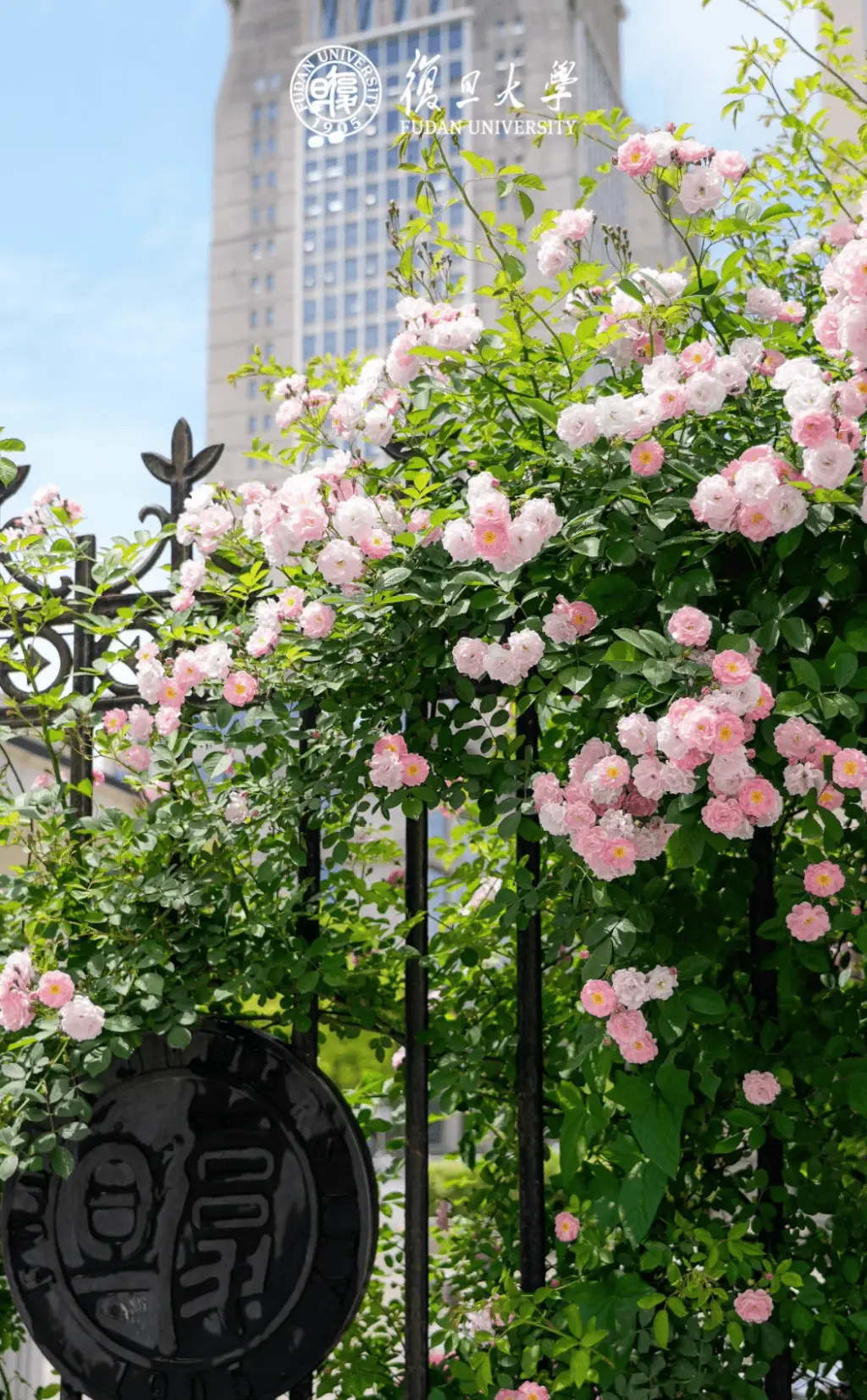 เรียนภาษาจีนที่ฟูตั้น 12