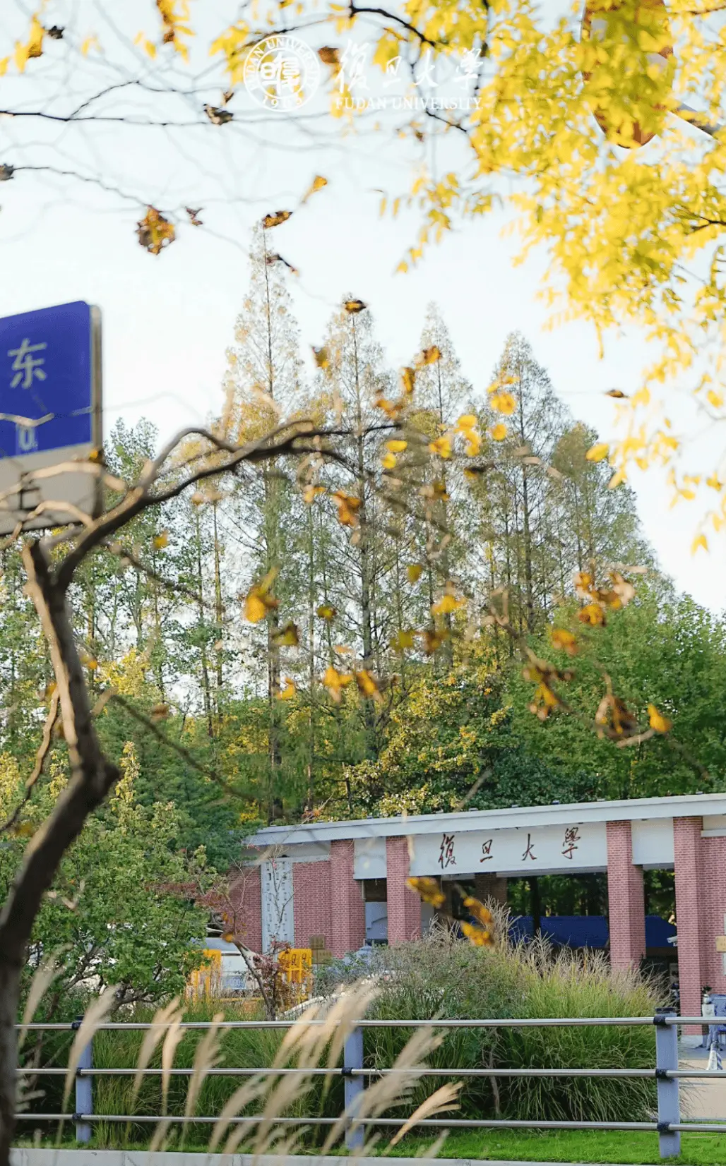 เรียนภาษาจีนที่ฟูตั้น 14