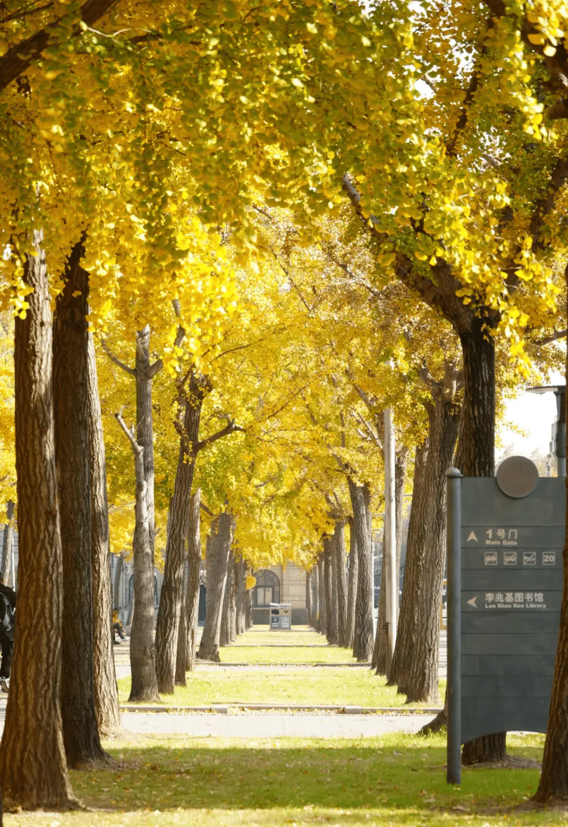 เรียนภาษาจีนที่ฟูตั้น 7