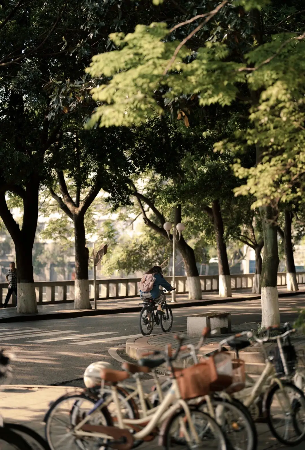 เรียนภาษาจีนที่ฉงชิ่ง photo 1