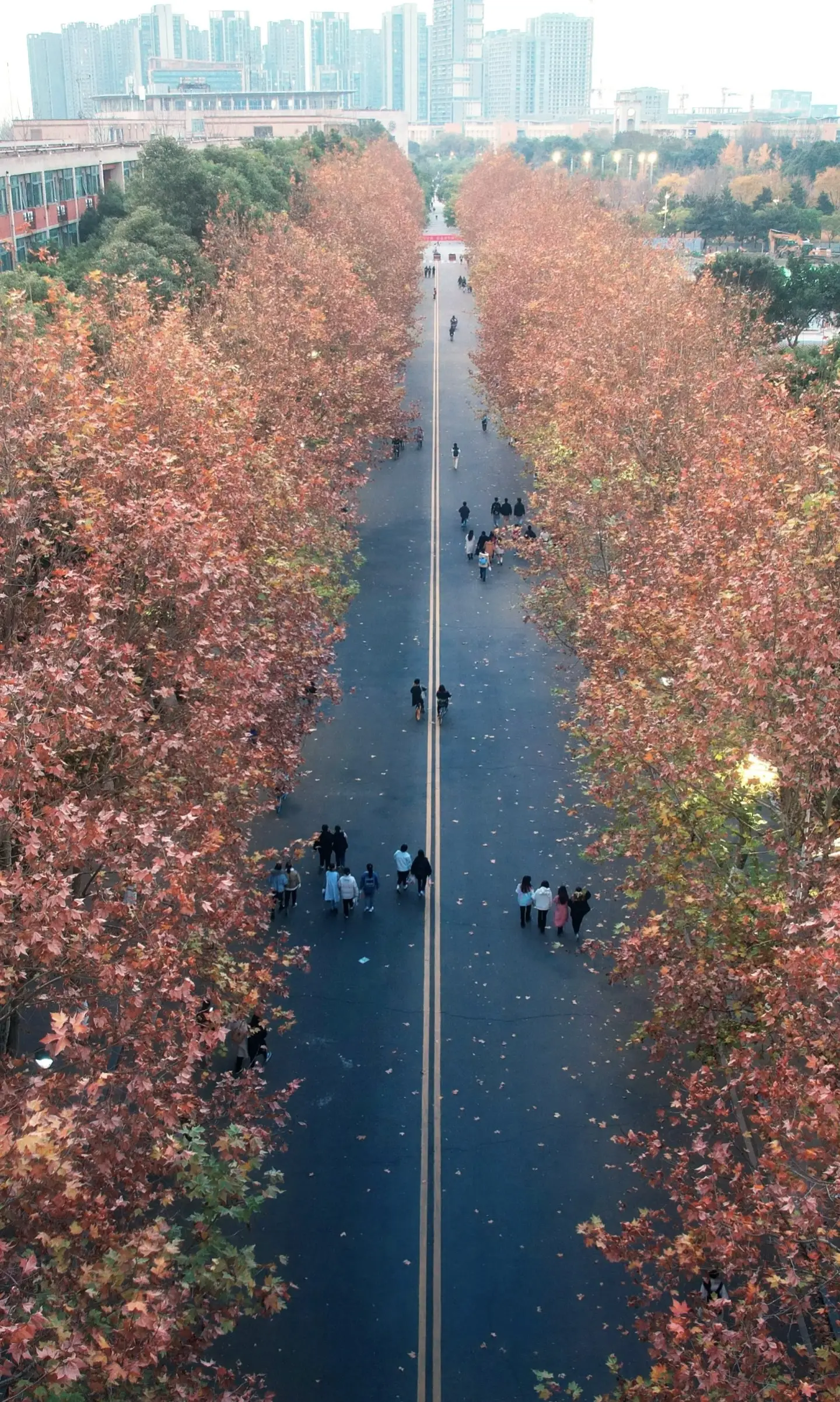 Southwestern University of Finance and Economics 12