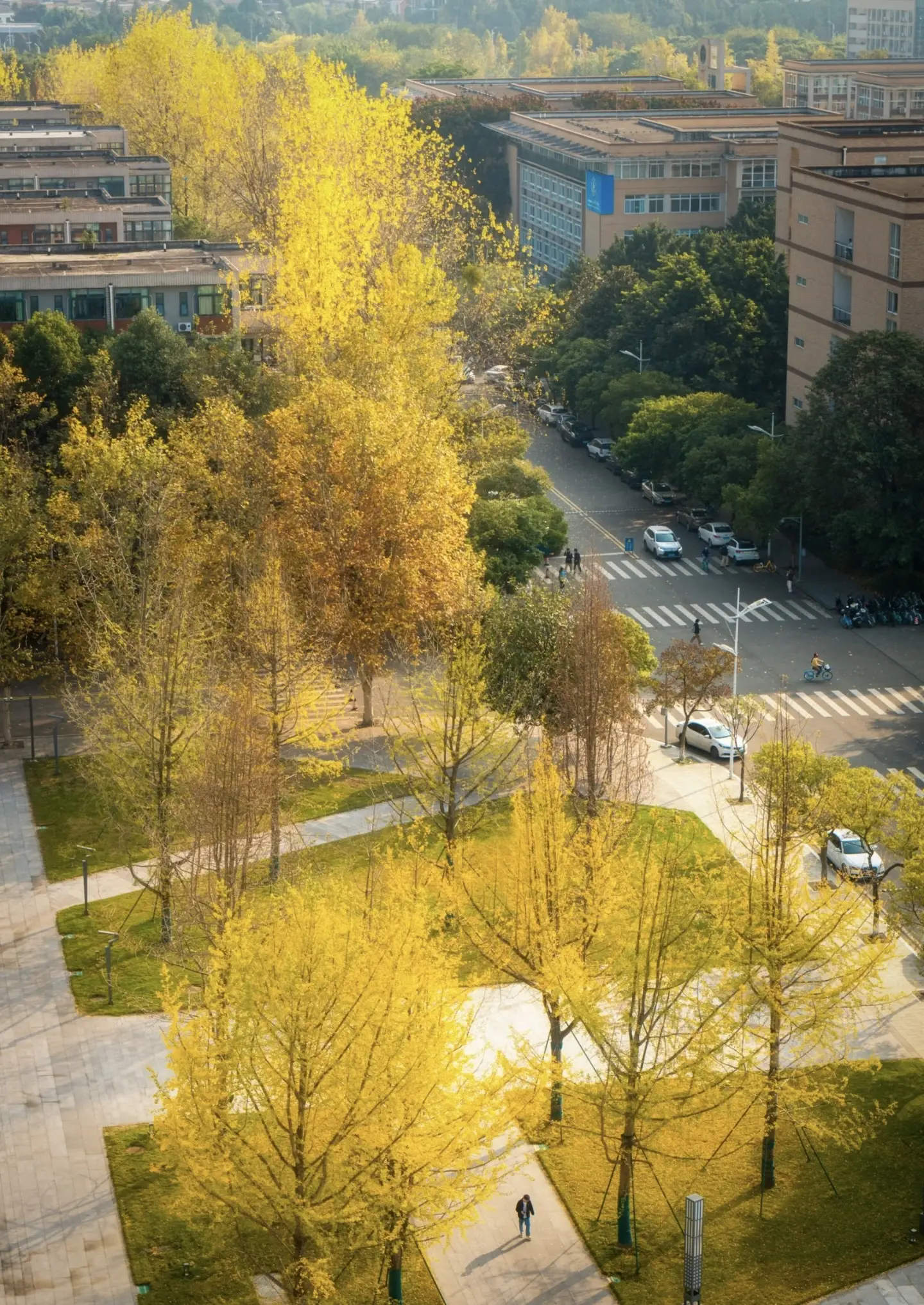 Southwestern University of Finance and Economics 15