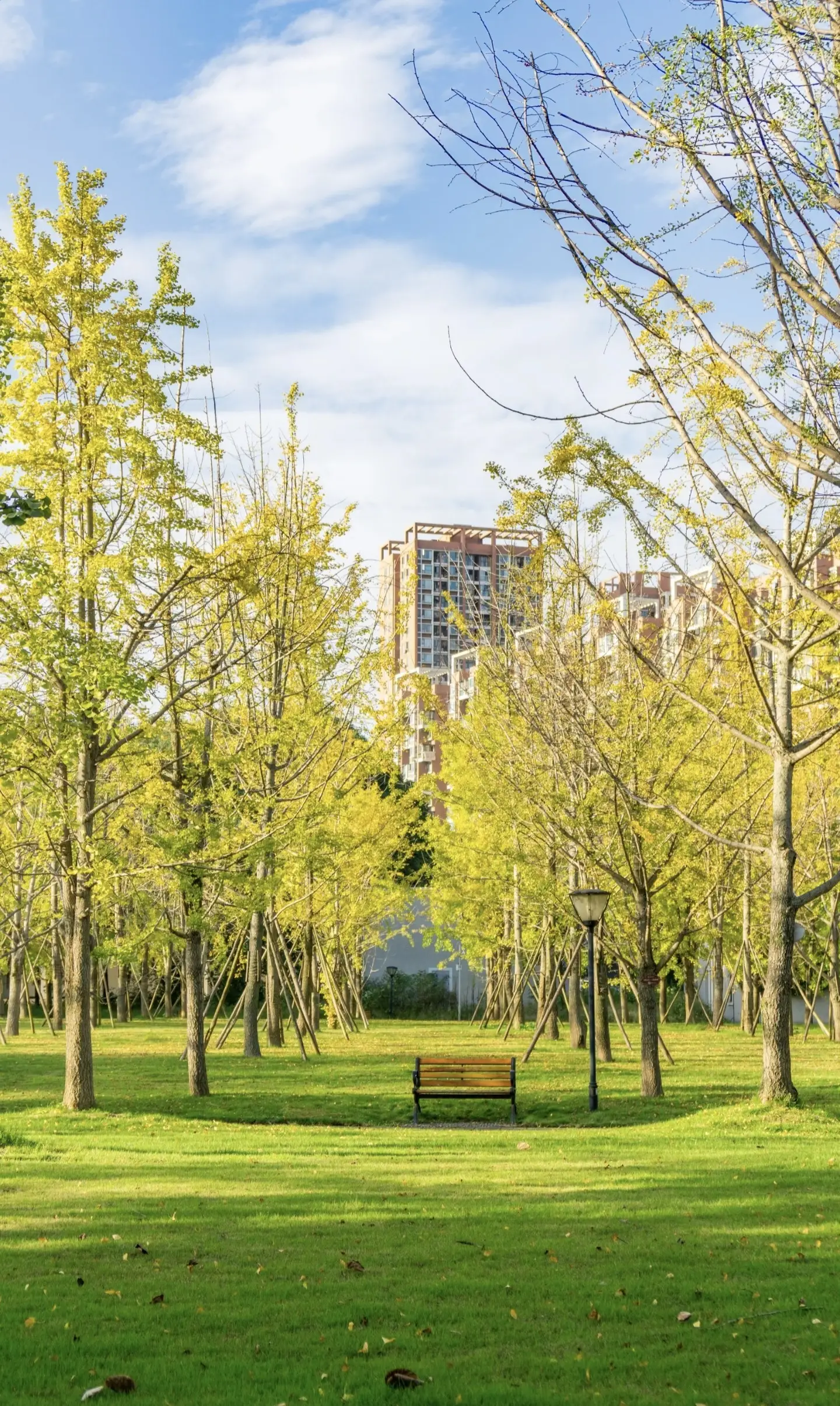 Southwestern University of Finance and Economics 17