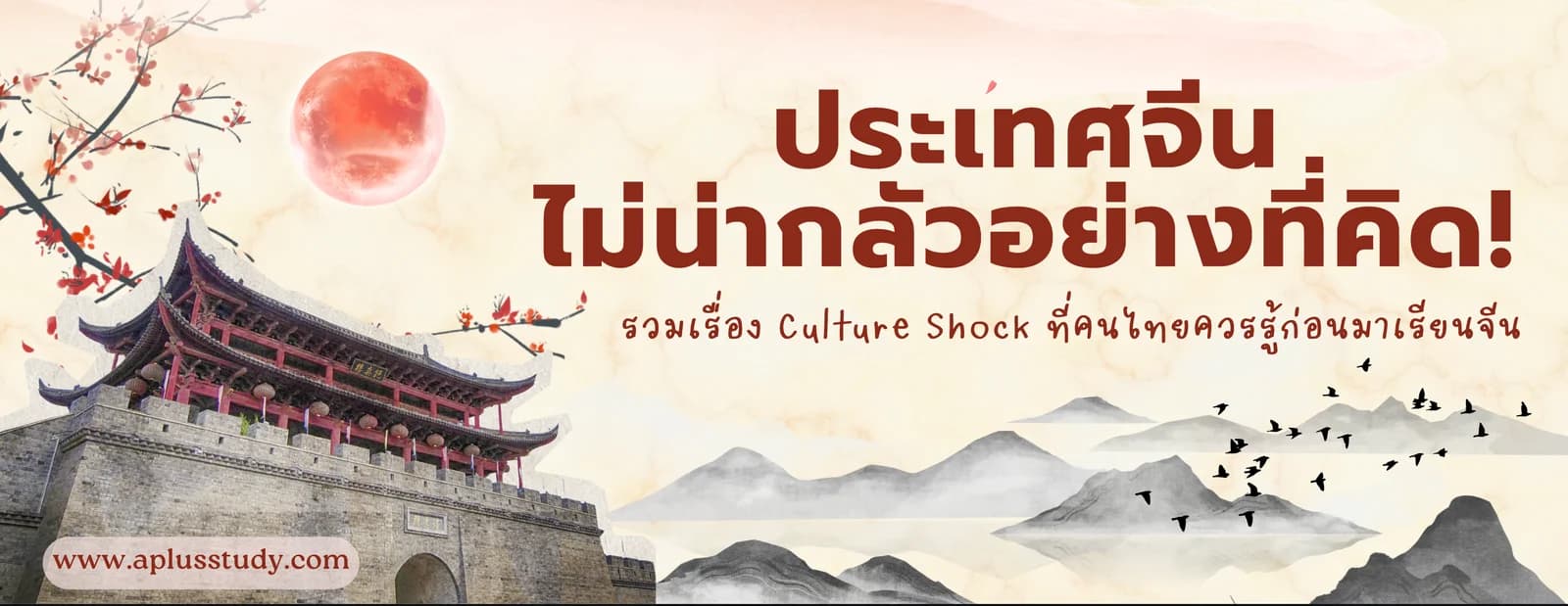 ประเทศจีนไม่น่ากลัวอย่างที่คิด รวมเรื่อง Culture Shock ที่คนไทยควรรู้ก่อนมาเรียนจีน
