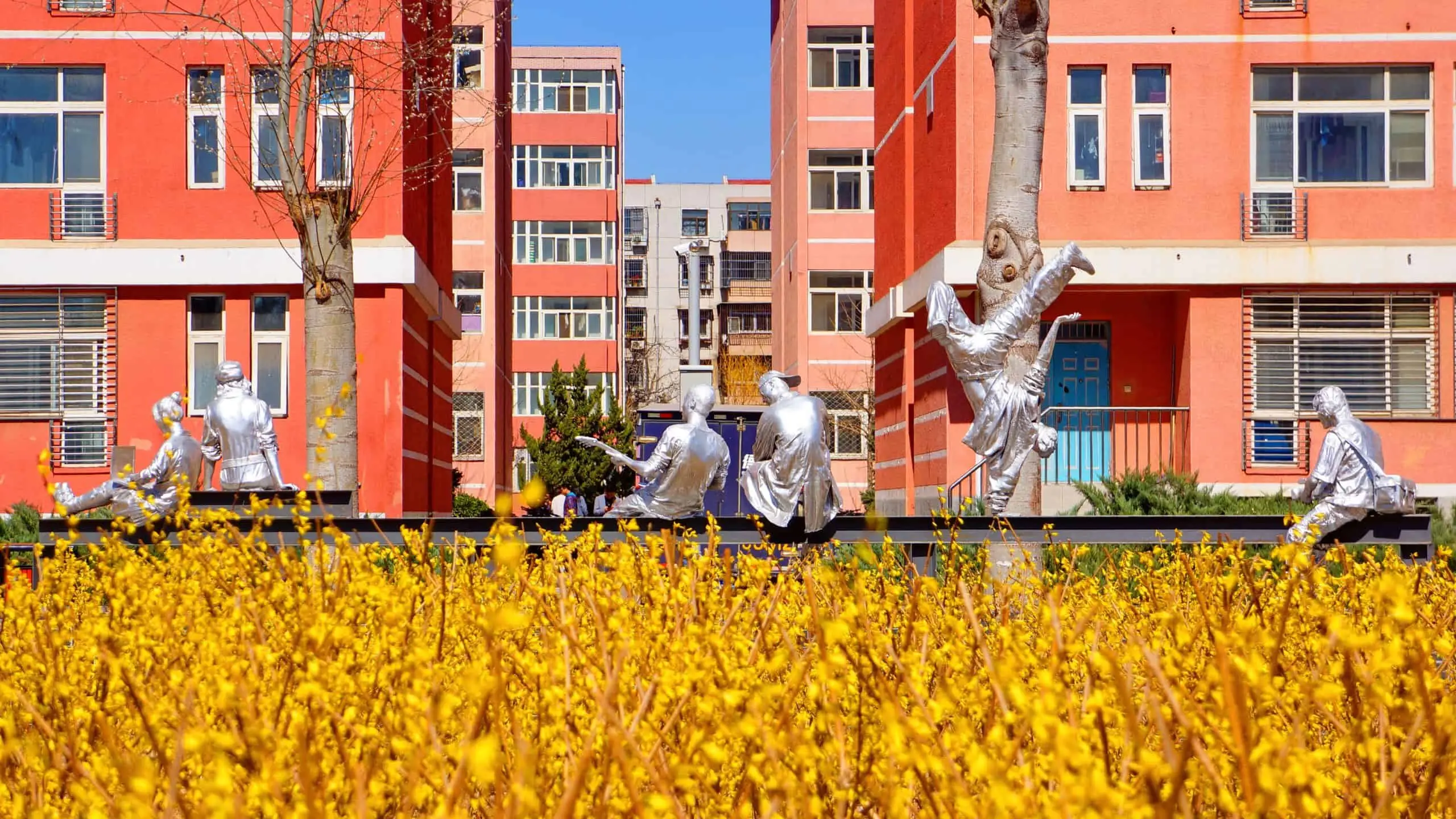 China University of Petroleum 6