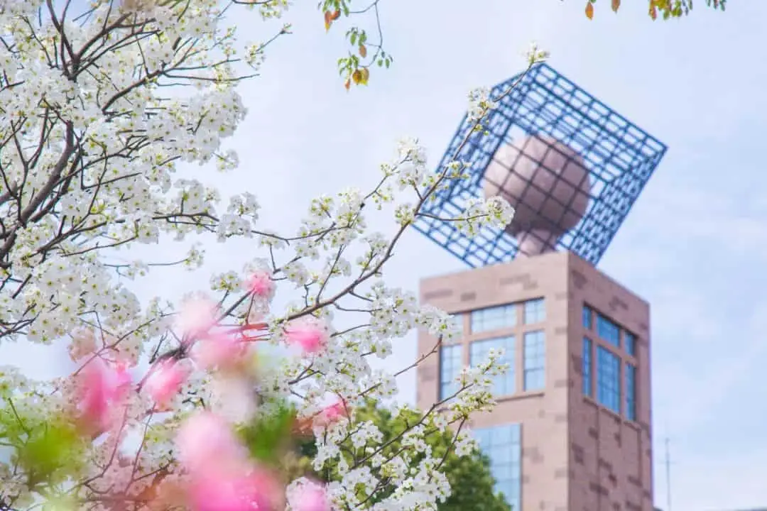 Changzhou University 2