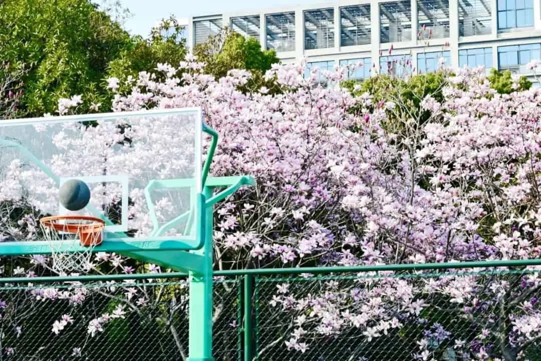 Changzhou University 3