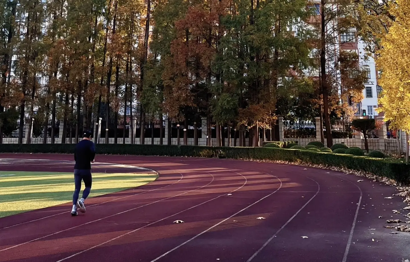 Shanghai International Studies University 28