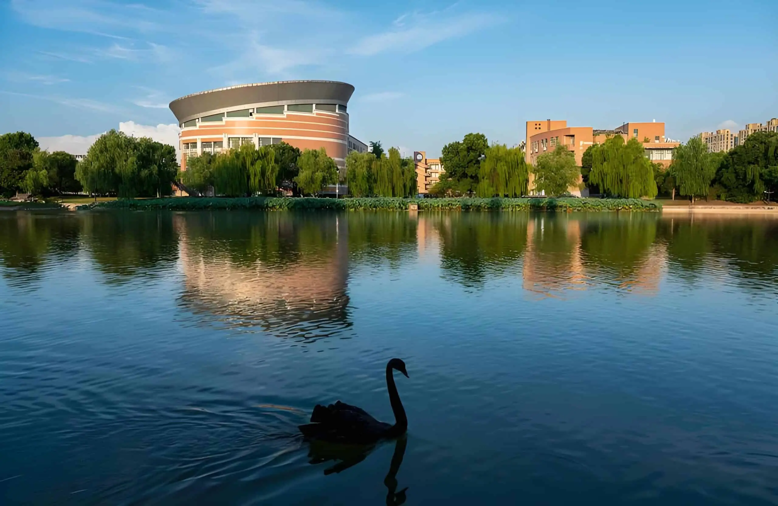 Zhejiang Normal University 4